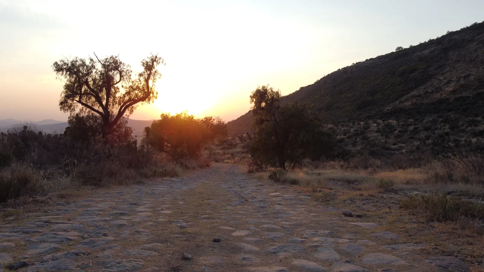 Camino empedrado al atardecer