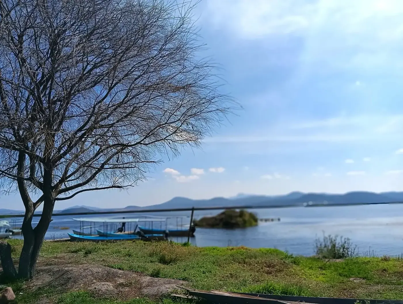 Comunidad San Miguel Allende