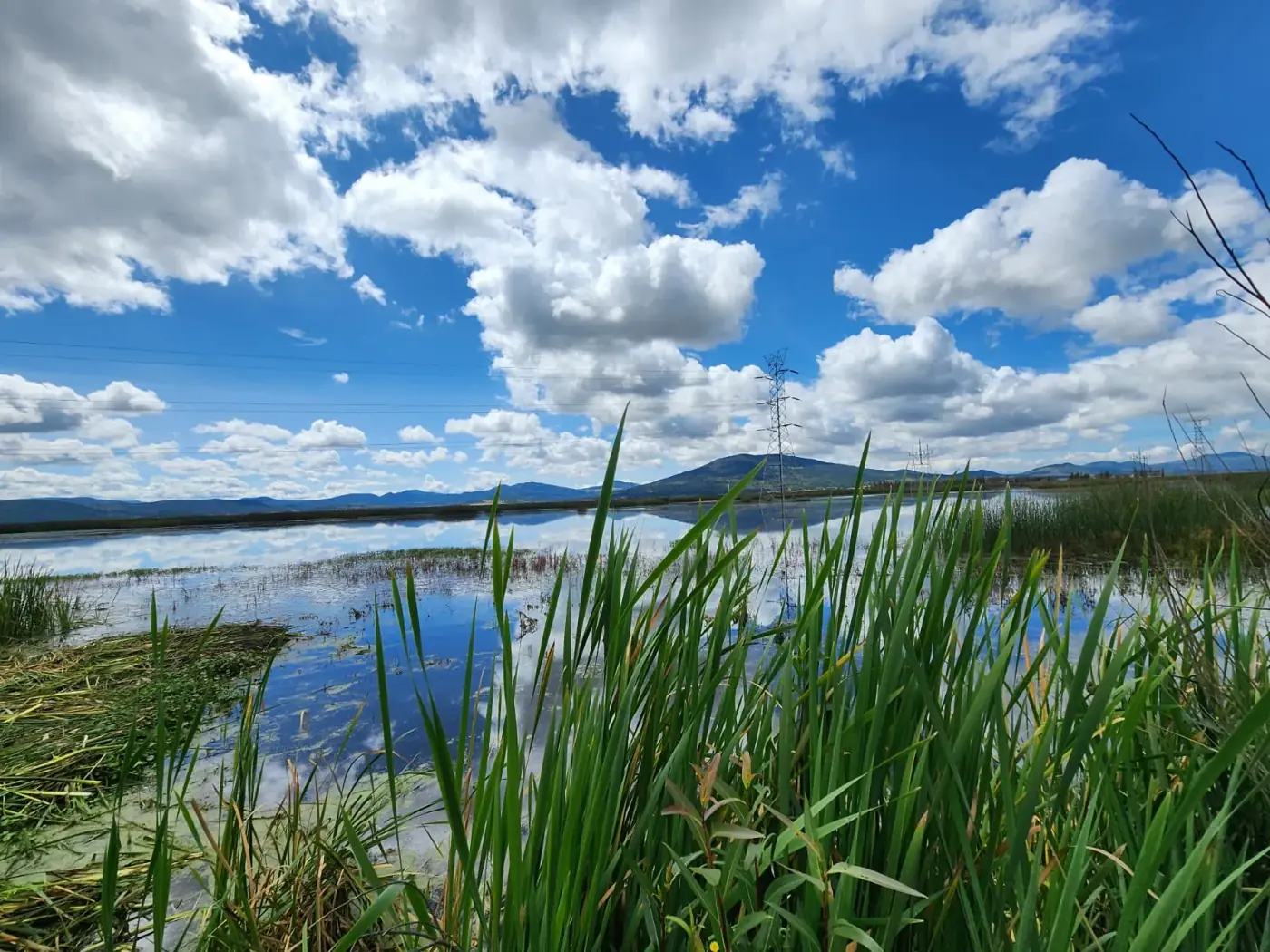 Laguna de Tecocomulco
